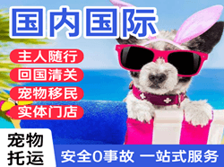 巴彦淖尔航空物流国际宠物托运 【国